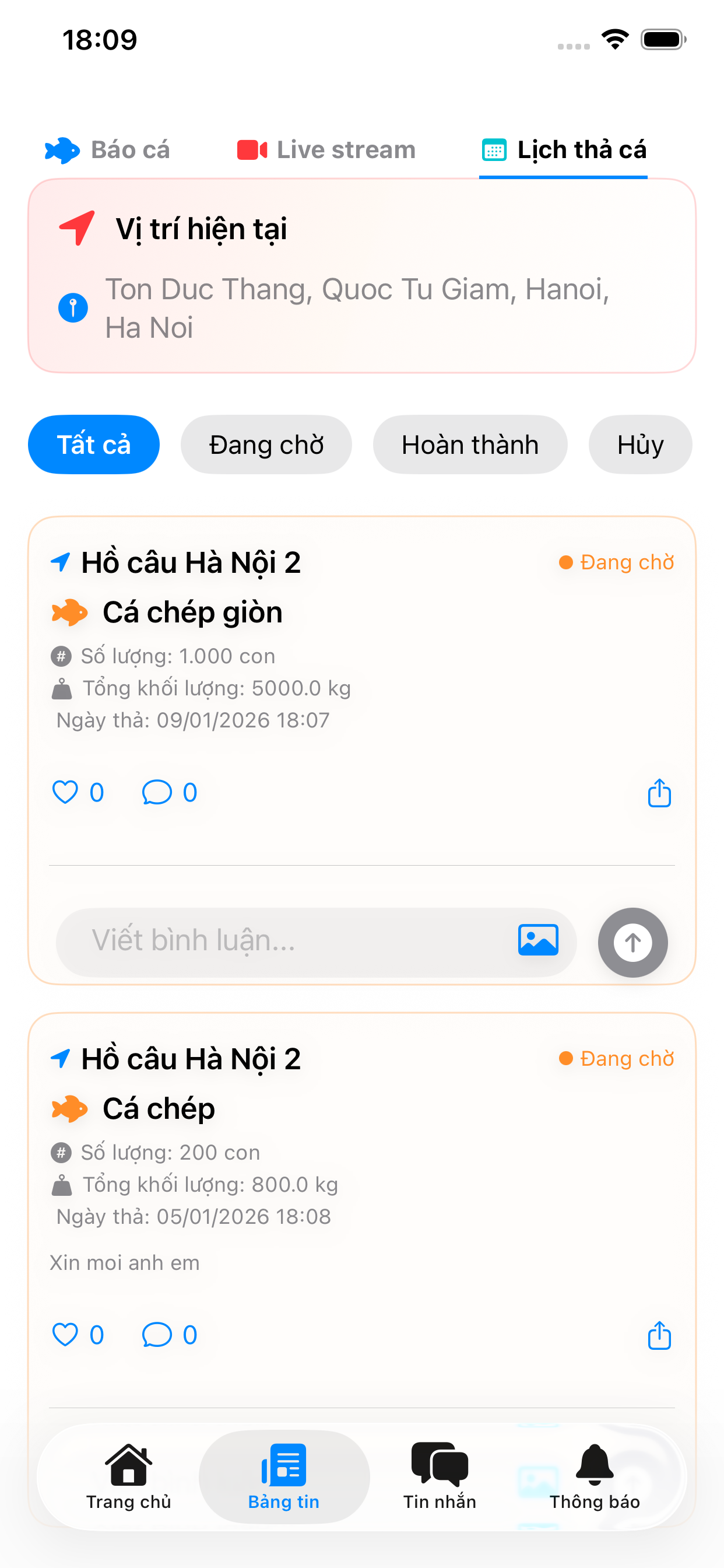 Hội Câu Việt - Màn hình 3